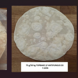 Topbake LP - Antifungus EX - 1 KG