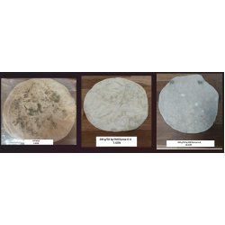 Kalsiyum Propiyonat - EMCEprop GA - 1 KG